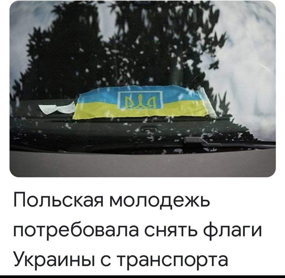 молодежь польши