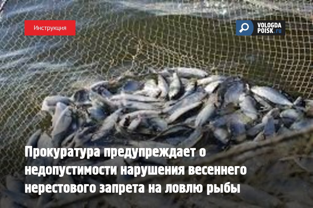 Нерестовый запрет 2024 брянская область. Запрещенная рыба в России. Лов рыбы сетями запрещен. Рыбы без запрета на вылов. Нерестовый запрет ловля на спиннинг.