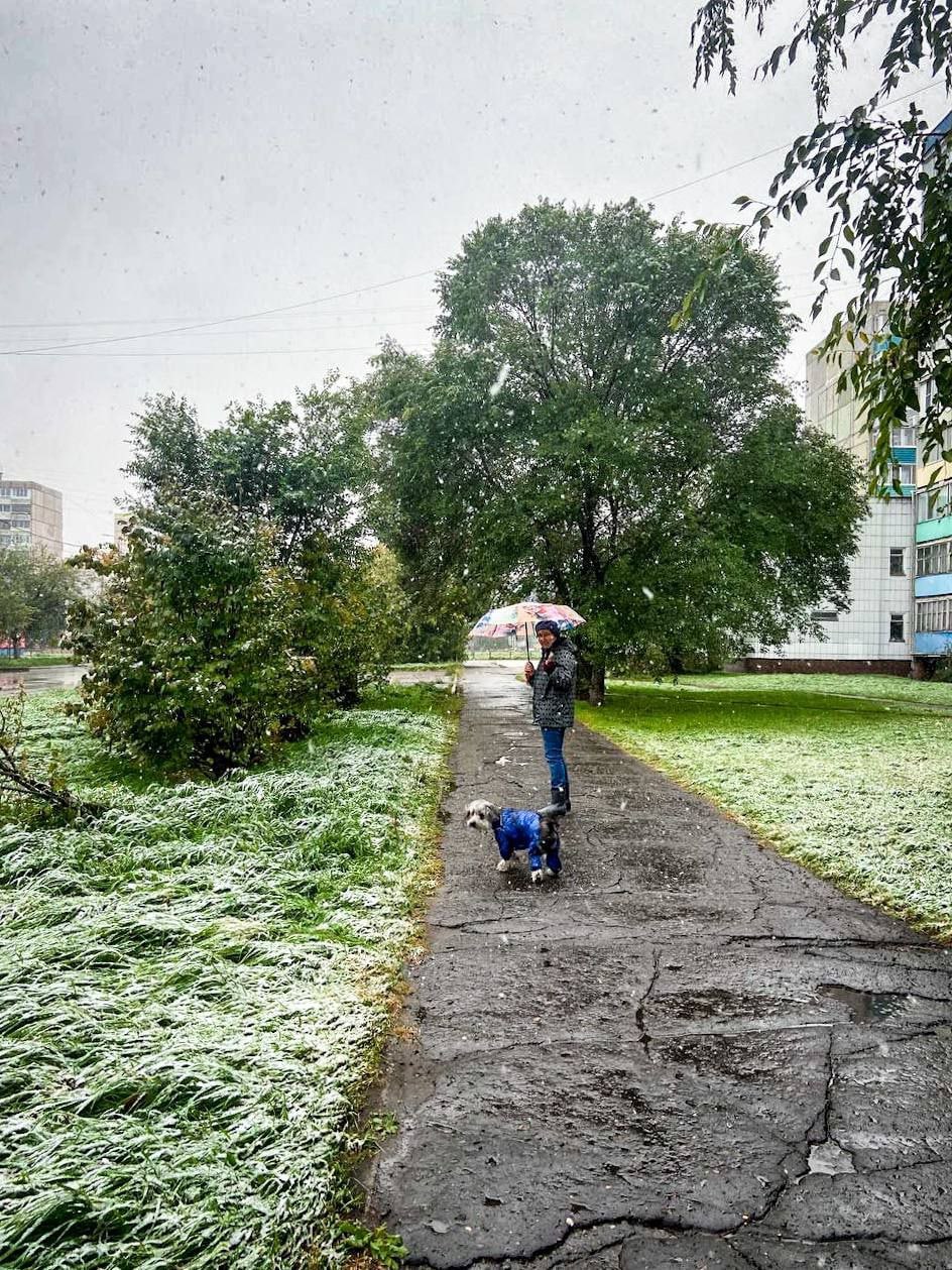 Хабаровске выпал снег. Первый снег. Снег в сентябре. Хабаровск лето. Выпал снег.