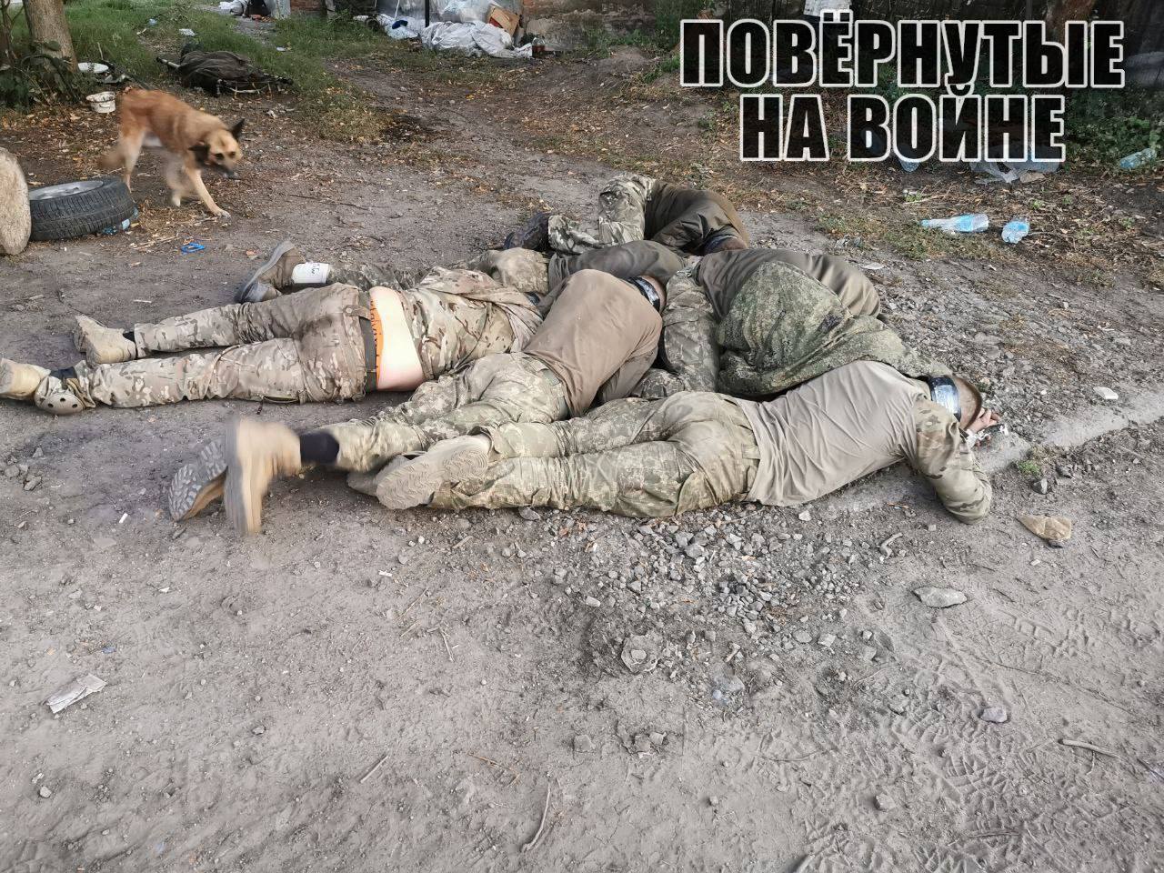 Трэш война на украине телеграмм фото 37