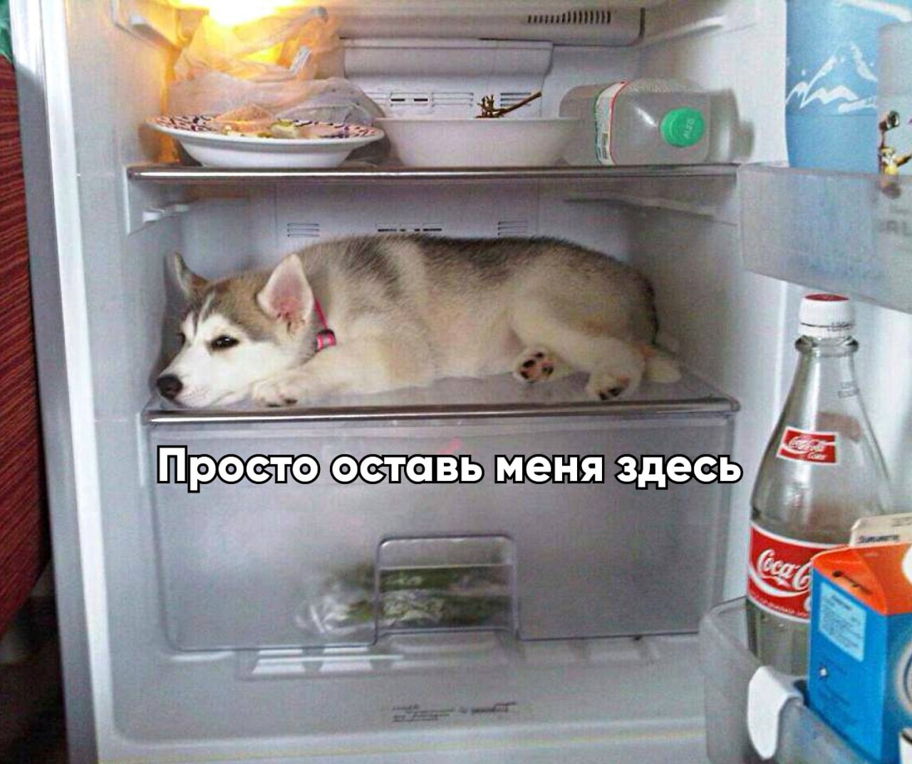 Прикольный холодильник