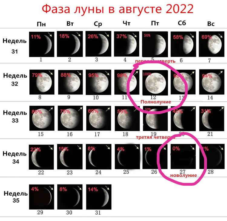 Когда новолуние в декабре 2023 года. Полнолуние в августе 2022. Даты полнолуний в 2022. Новолуние и полнолуние в 2022. Полнолуние и новолуние 2022 декабрь.