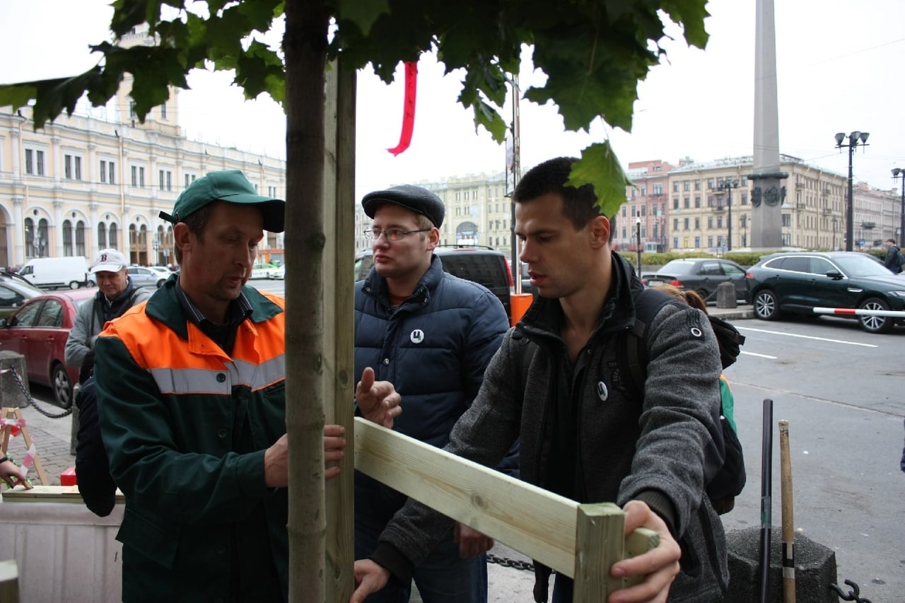 Сквер володина на васильевском. Сквер Володина на Васильевском фото.