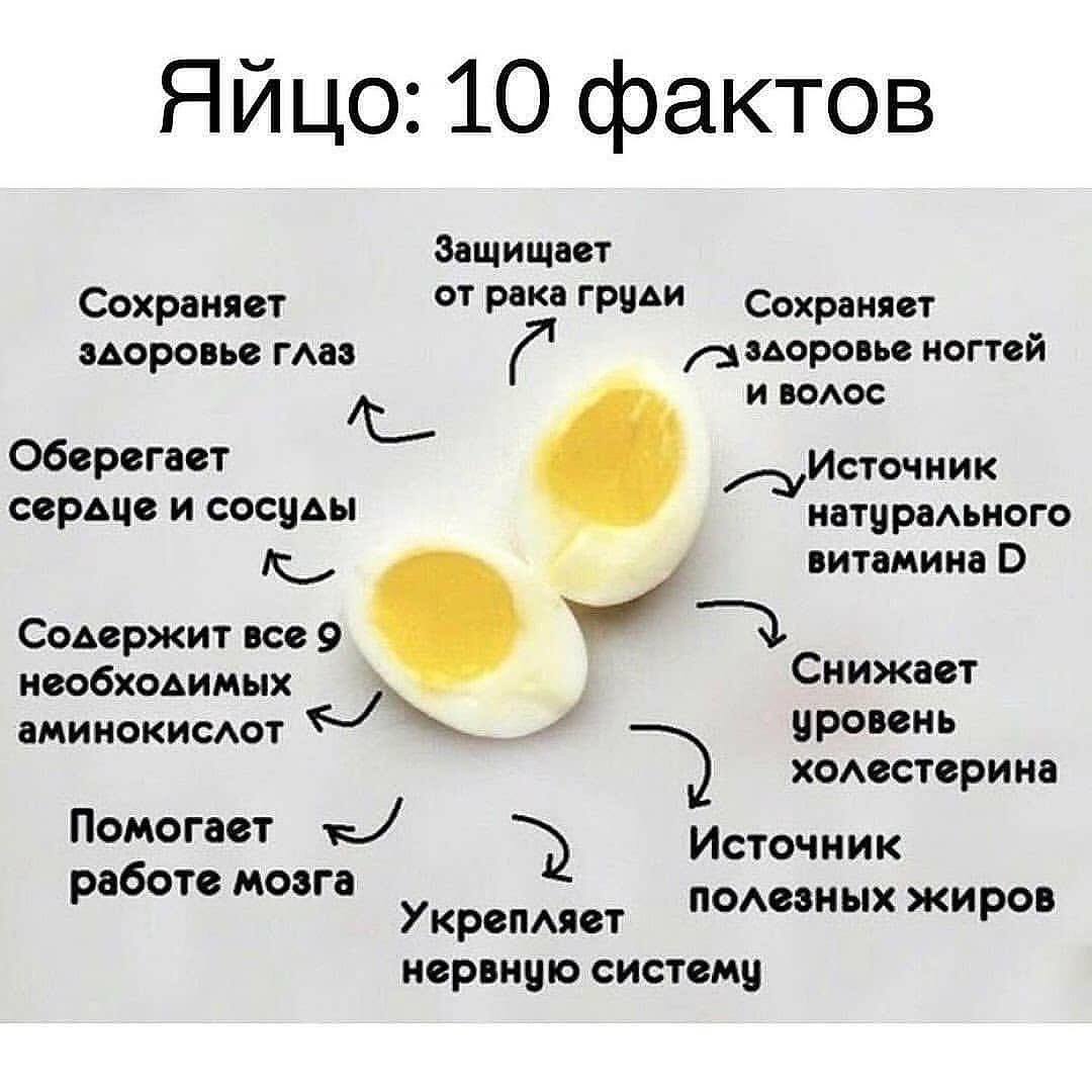 Чем полезно яйцо куриное